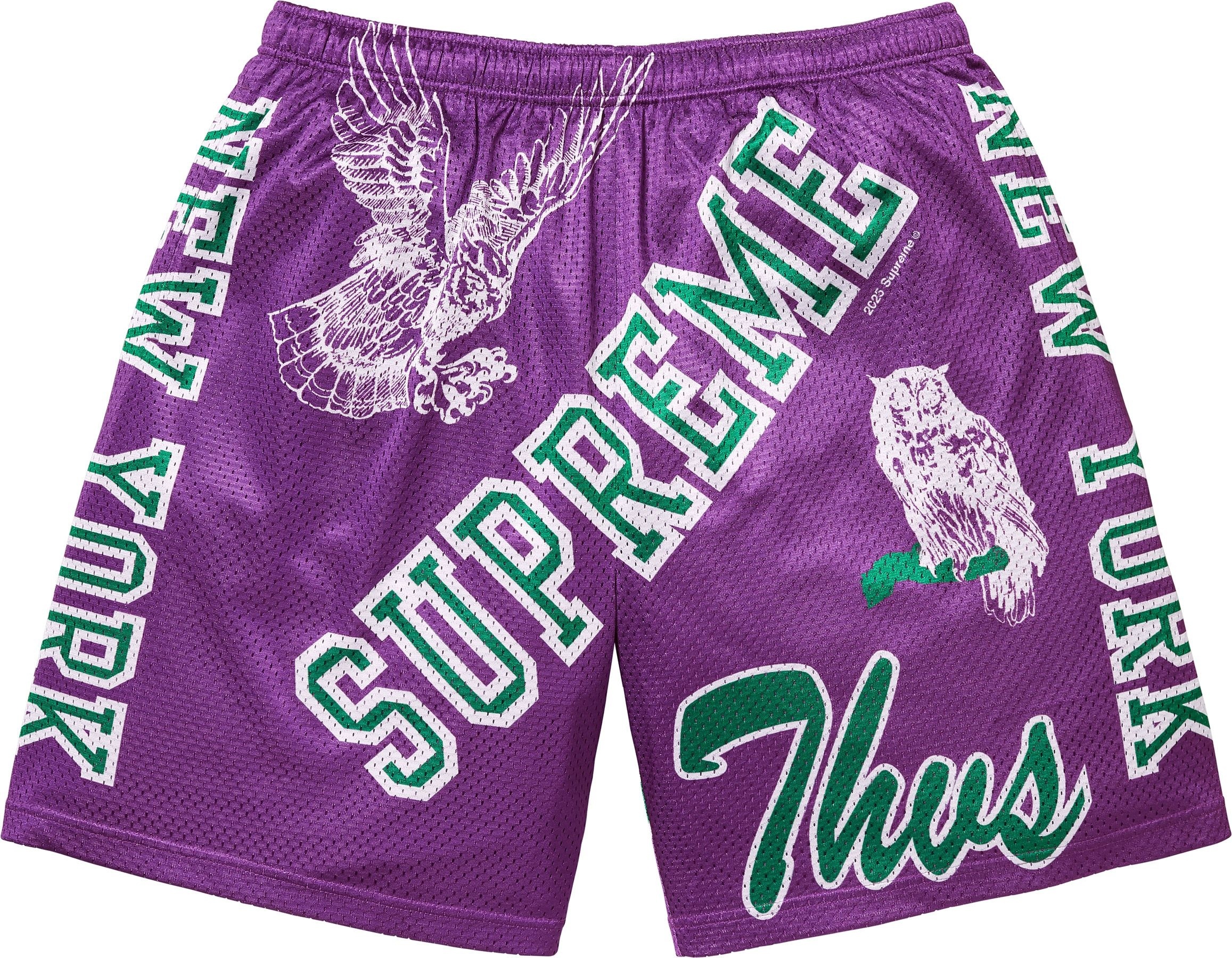 Varsity Mesh Short view 10
